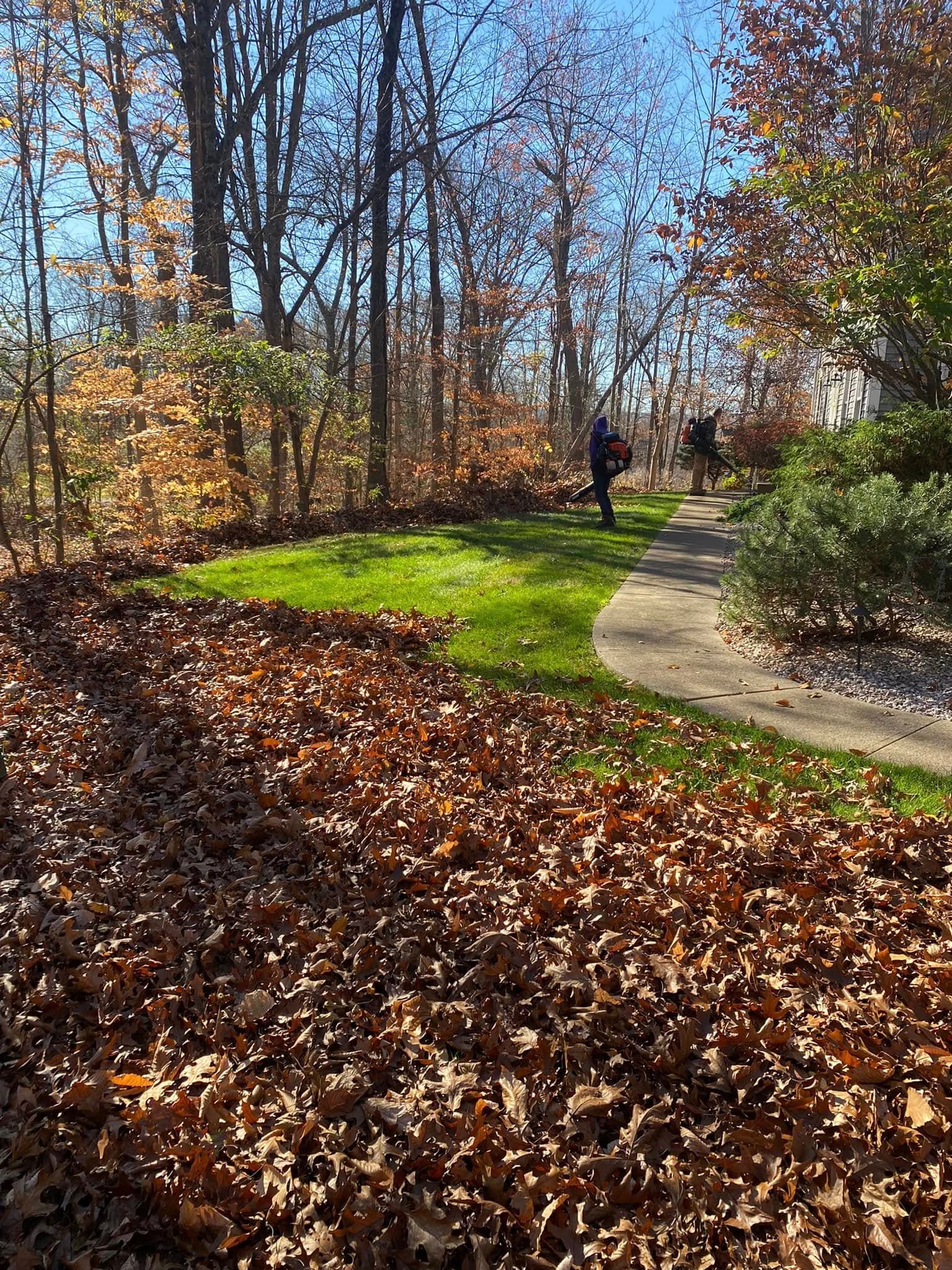 Fall leaf cleanup and property maintenance services in Connecticut